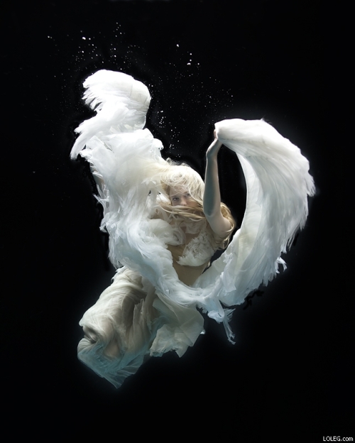 zena holloway underwater photography