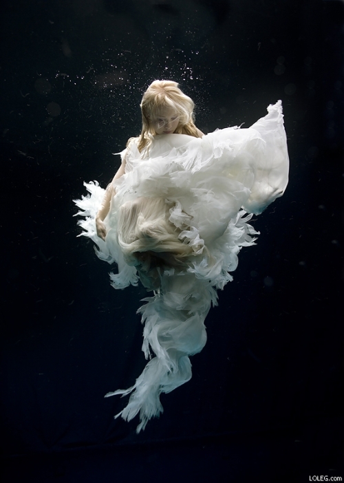 zena holloway underwater photography